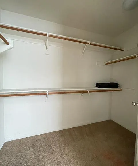 34307 Devlin Dr — Photo 20