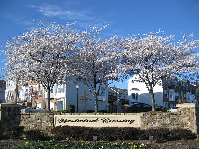 Community entrance in winter