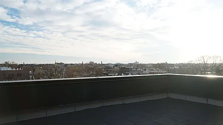 Rented by Bold New York