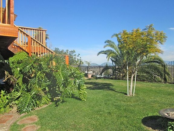 VIEW FROM YARD