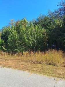 29 Planters Row Rd #29, Iron Station, NC, 28080