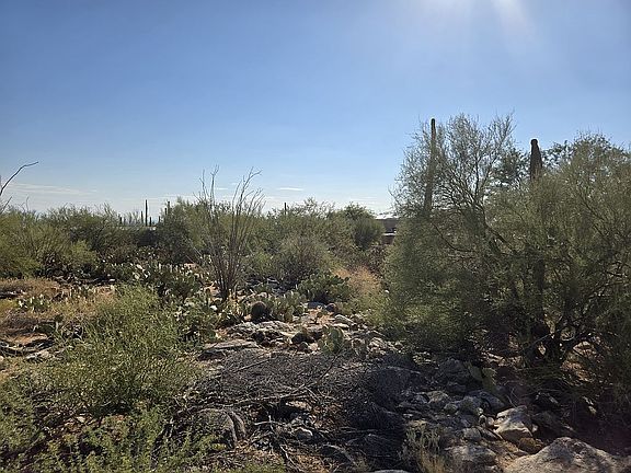 5th image of 6641 N Montezuma Dr