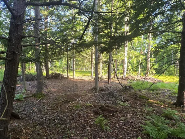 E Free Soil Rd, Free Soil, MI 49411