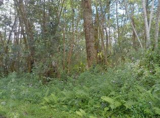 Lanai Rd LOT 369, Pahoa, HI 96778
