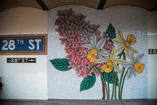 Rented by Beam Living | media 44