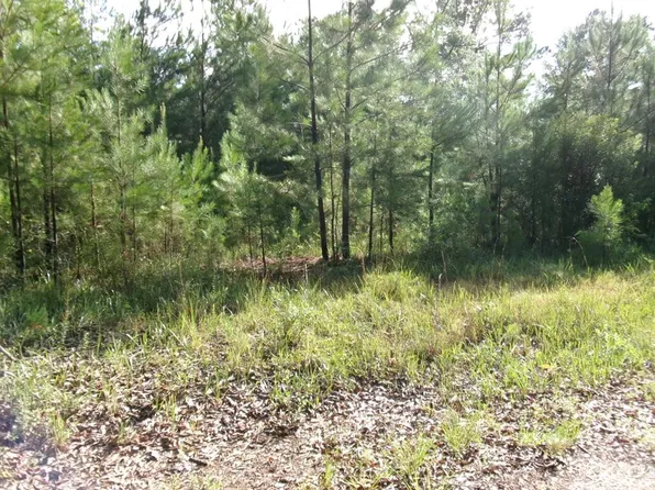 0 George Bennett Road Rankin Rd, Sontag, MS 39665