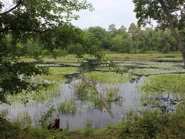 Shamrock Twp, McGregor, MN 55760