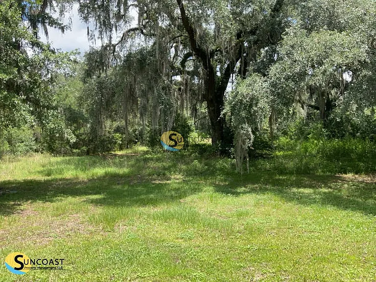 8113 Lanette St — Photo 25