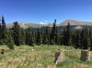 328 Pyrite Rd, Alma, CO 80420