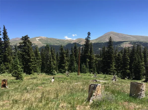 328 Pyrite Rd, Alma, CO 80420