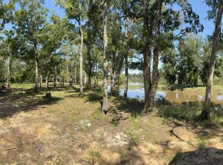 0 Eagles Point LOT 12, Surrency, GA 31563