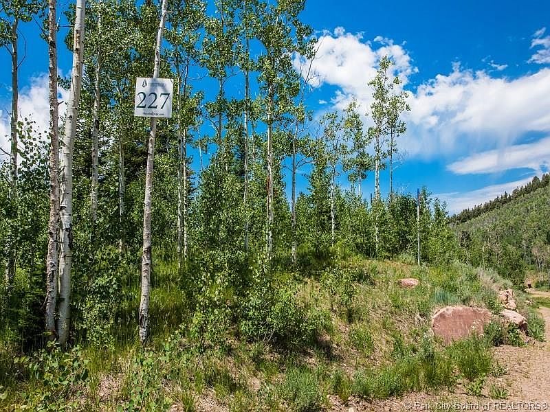 1st image of 227 White Pine Canyon Rd #227