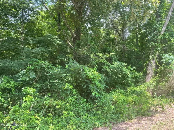Magnolia Cir Lot 61, Sarah, MS 38665