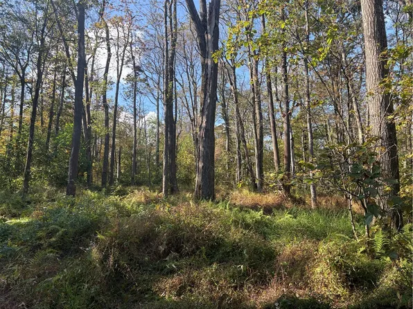 0 County Line Rd, Champion, PA 15622