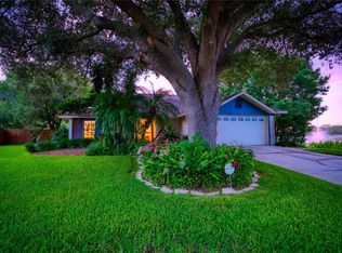 1447 Shell Flower Dr, Brandon, FL 33511