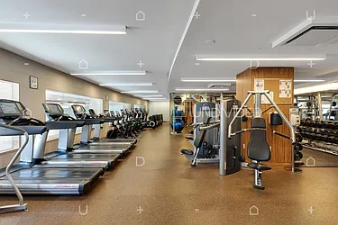 Rented by Level Group