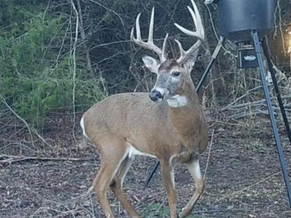 148 N 30th St, Walnut, KS 66780