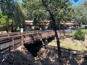 Forest Creek