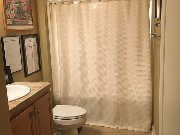 Bonus room bathroom 
