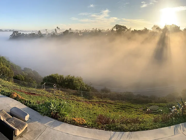 Backyard in the morning
