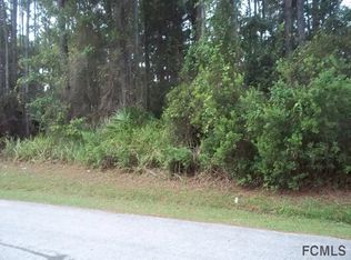 55 Wellwood Ln, Palm Coast, FL 32164