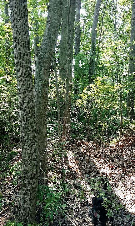1st image of Vacant Land Golf Mere Ave