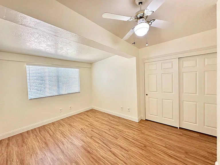 2573 Gum Tree Ln — Photo 42