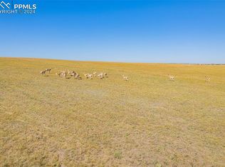 8150 Cowboy Ranch Vw, Peyton, CO 80831