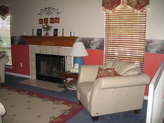 Wood burning fireplace