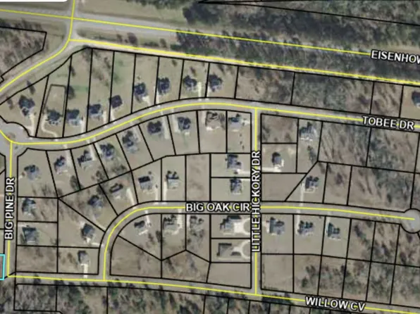 207 Big Pine Dr, Lizella, GA 31052