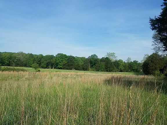 Hay field 