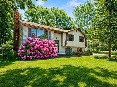 41 William Kelley Rd, Stoughton, MA, 02072
