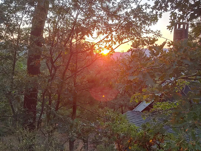 Sequoia Dr — Photo 24