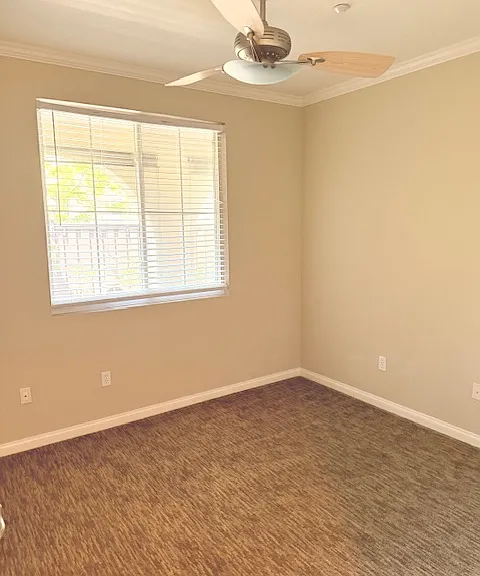 2665 Piantino Cir — Photo 19