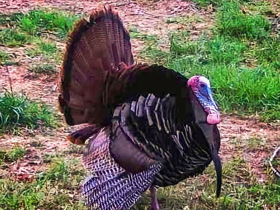 72nd image of this home