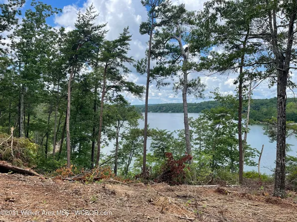 385 Emmons Dr, Arley, AL 35541