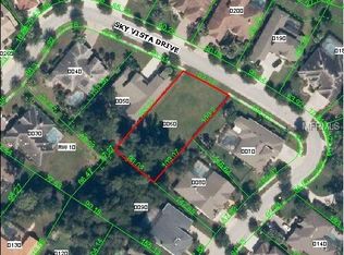 21228 Sky Vista Dr, Land O Lakes, FL 34637