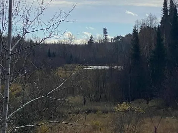 X Lost River Raod, Orr, MN 55771