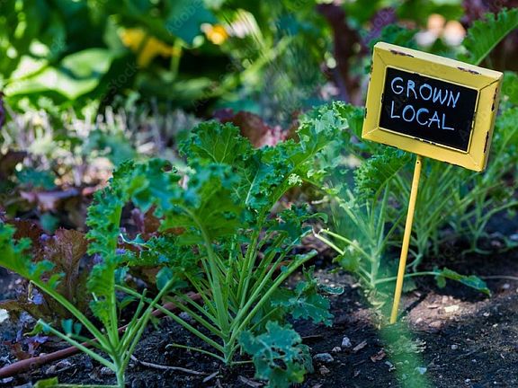 Community garden