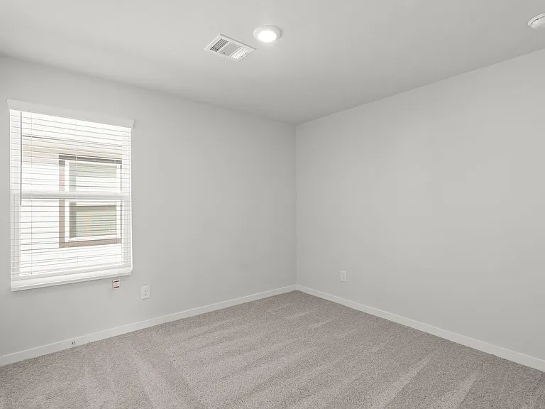 298 Brazen Forest Trl — Photo 12