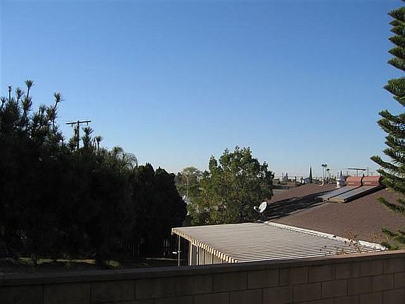 View from backyard