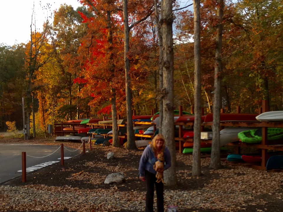 Ample room for kayaks 