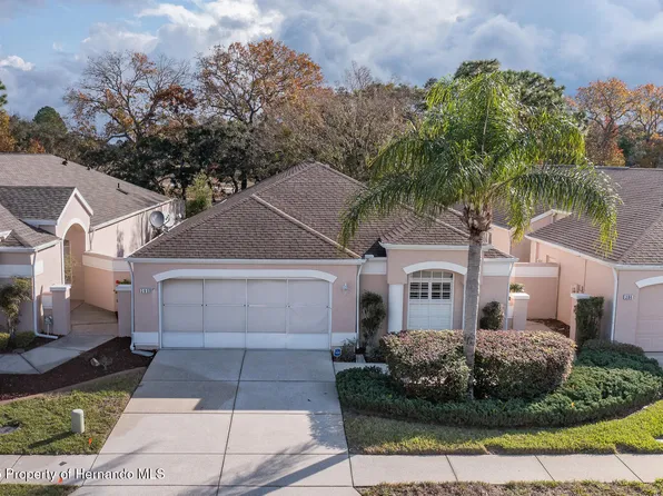 390 Royal Palm Way, Spring Hill, FL 34608