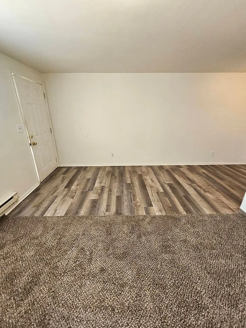1 Bedroom Apartment- September rent FREE with 12-month lease! — Photo 3