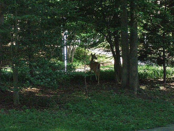3rd image of 1811 Millridge Ct