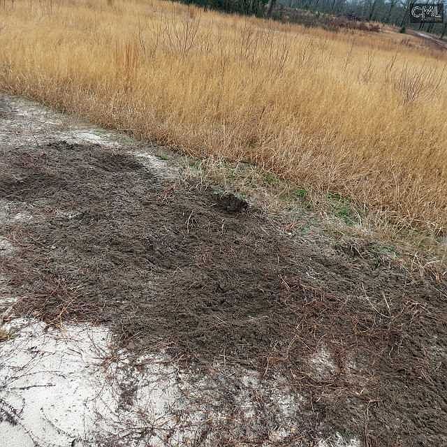 2nd image of 105 Leonard Ln