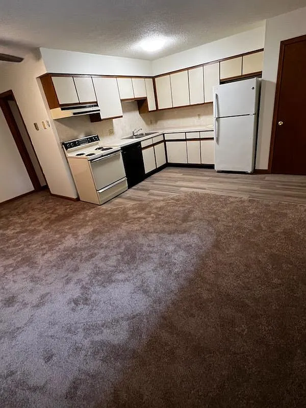 1 bed, 540 sqft, $1,100 — Photo 4