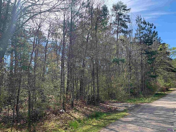 3rd image of Stewart Dr