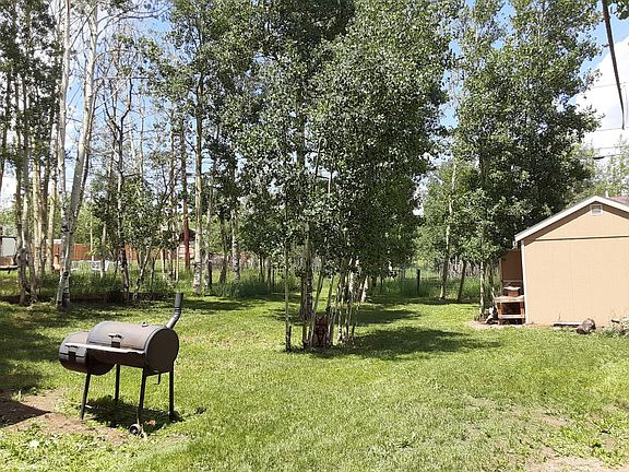 Spacious, fenced yard with aspens