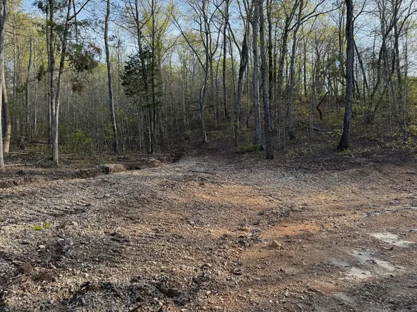 0 Roan Creek Rd Lot 2, Lobelville, TN 37097